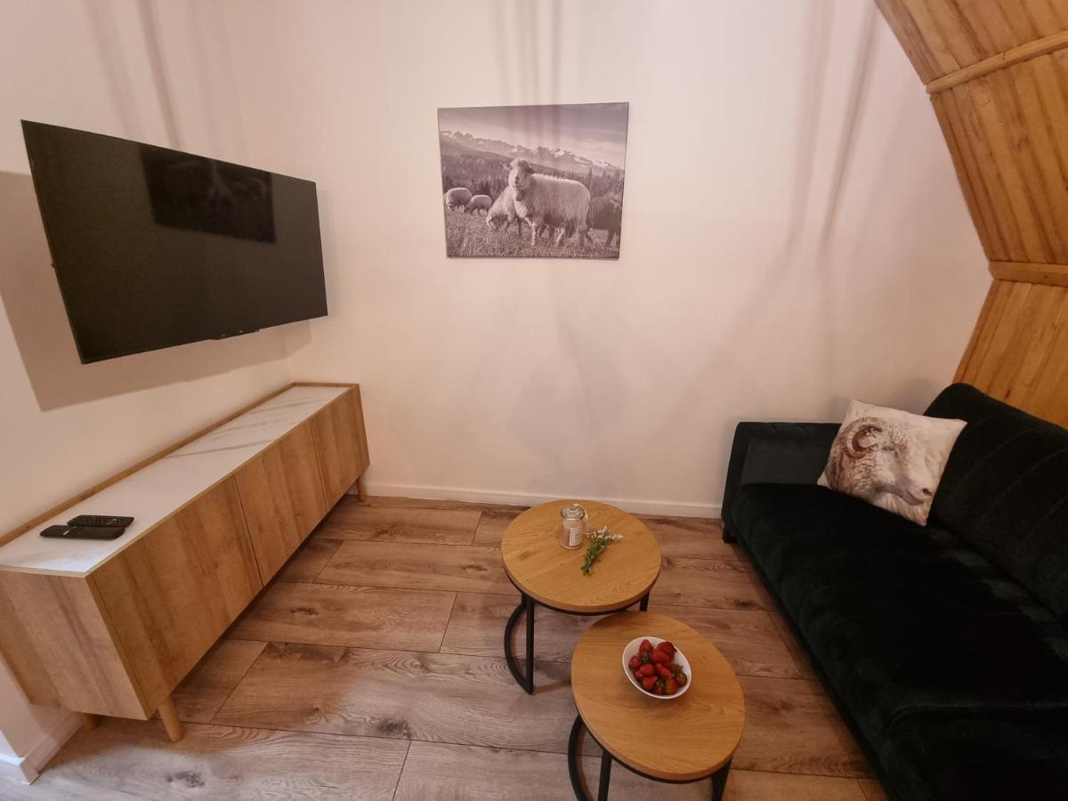 Apartament Klasyczny Z Widokiem Na Giewont Косьцелісько Екстер'єр фото