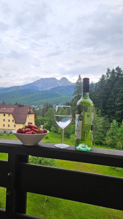 Apartament Klasyczny Z Widokiem Na Giewont Косьцелісько Екстер'єр фото
